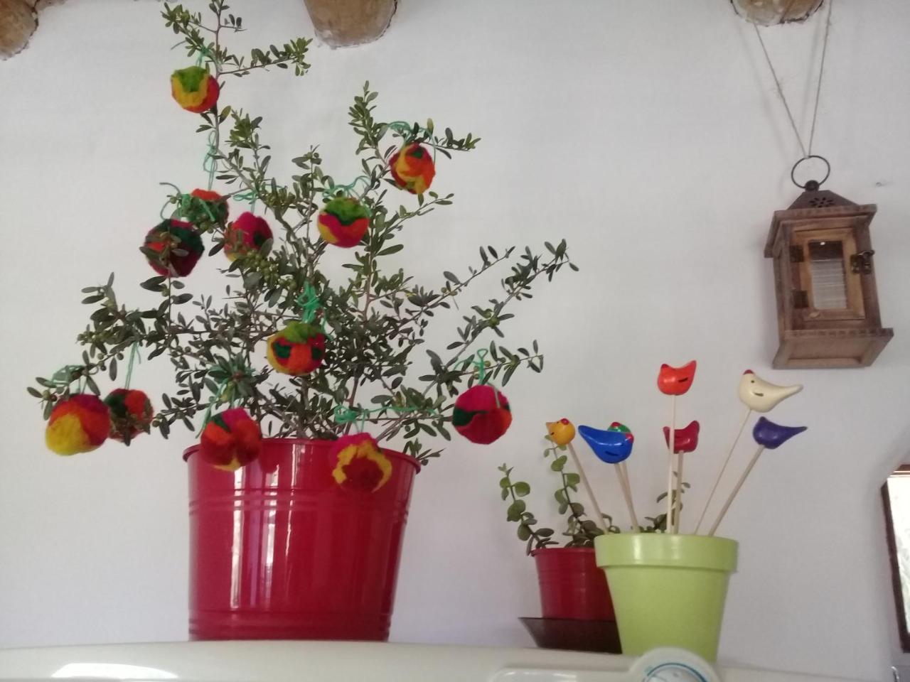 Cabana El Cardon,Casita En El Campo Quebradeno Умауака Экстерьер фото
