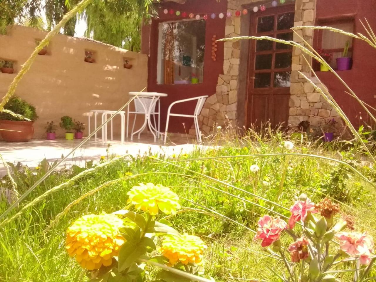 Cabana El Cardon,Casita En El Campo Quebradeno Умауака Экстерьер фото