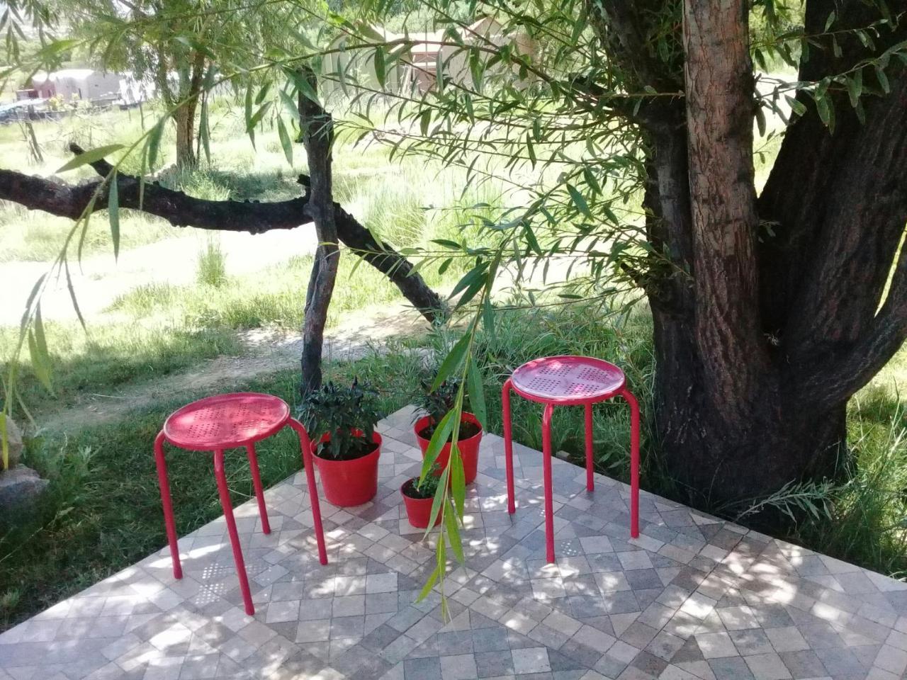 Cabana El Cardon,Casita En El Campo Quebradeno Умауака Экстерьер фото